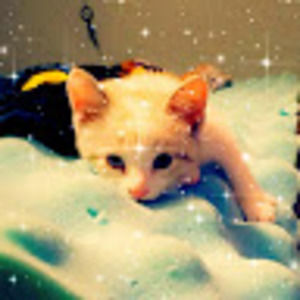 Meet your Posher, Krista